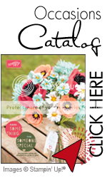 Stampin' Up! Occasions Catalog 2015