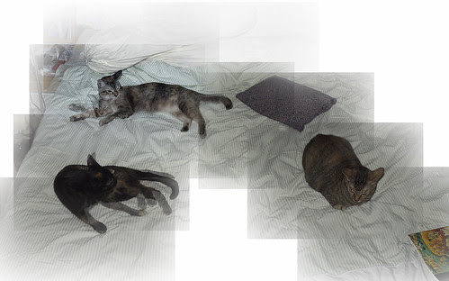 New Sheets