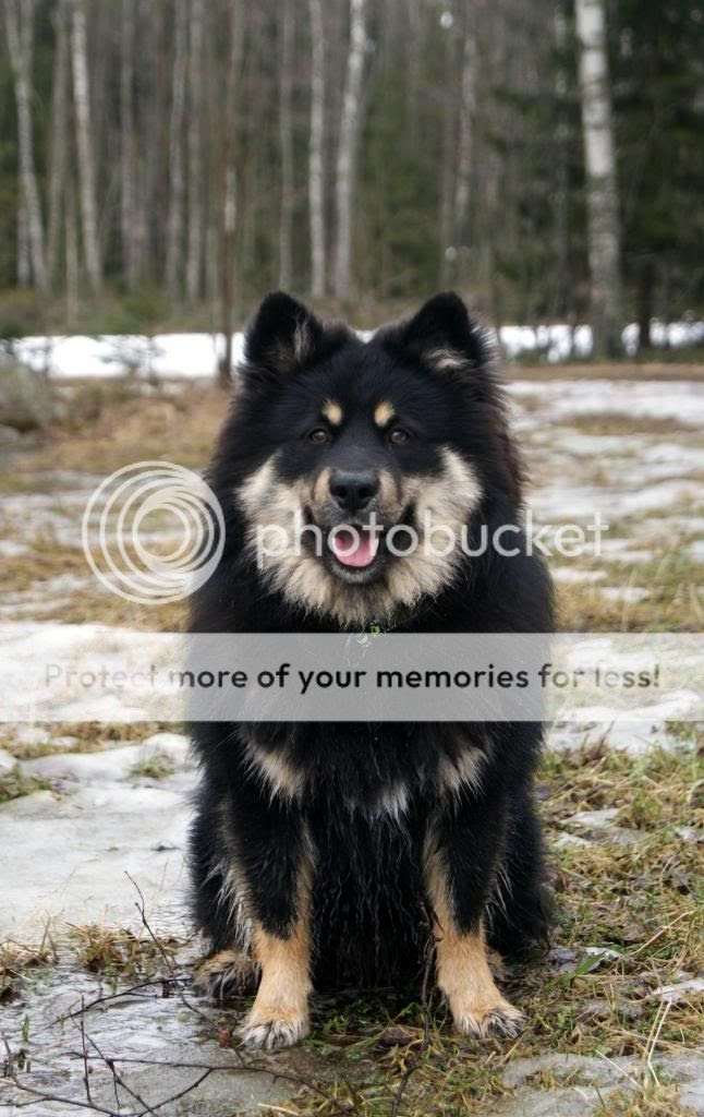  photo DSC03477_zps9f00393f.jpg