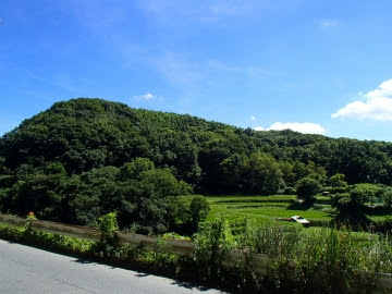 110号棚田2