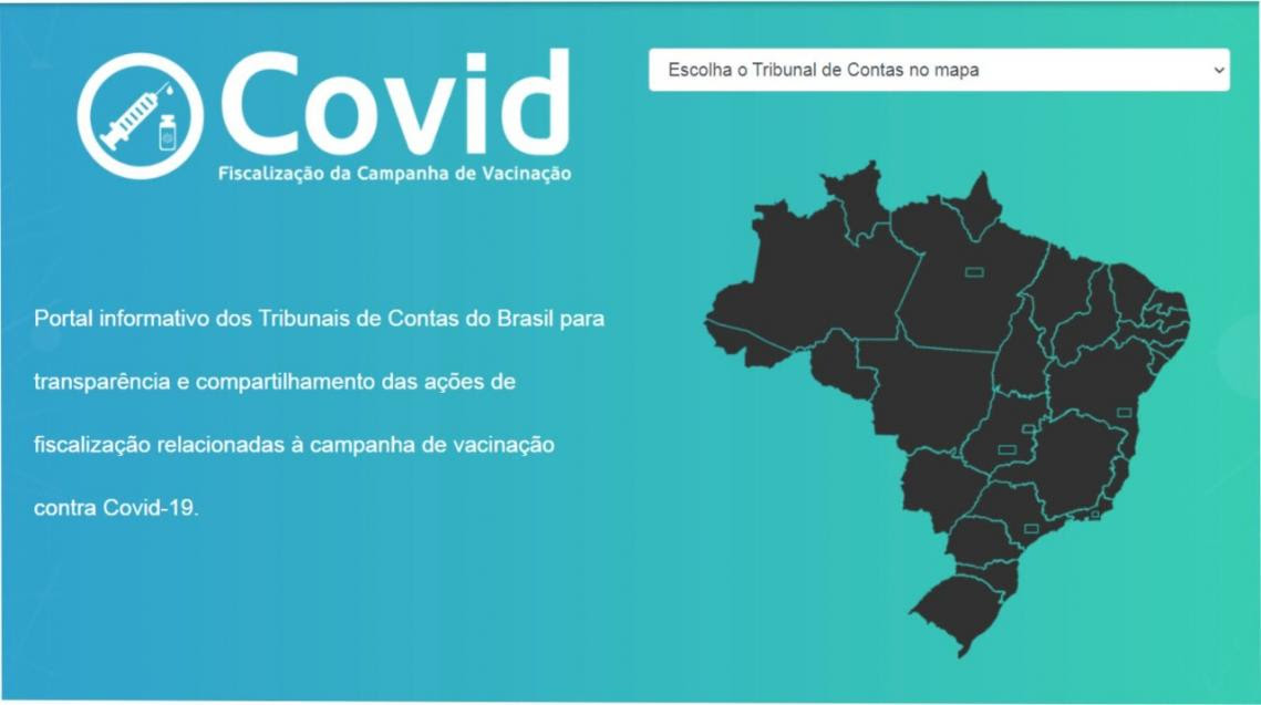 Portal Vai Divulgar Acoes Da Campanha De Vacinacao Contra Covid Tce Ms