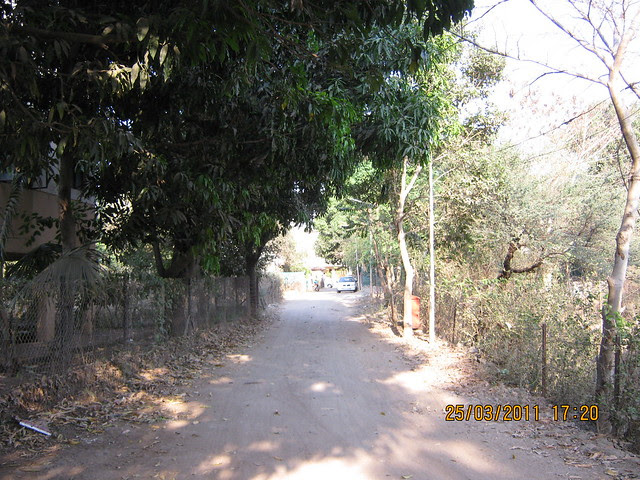 You have to take this lane in Prathamesh Park for DSK Gandhakosh Baner Pune