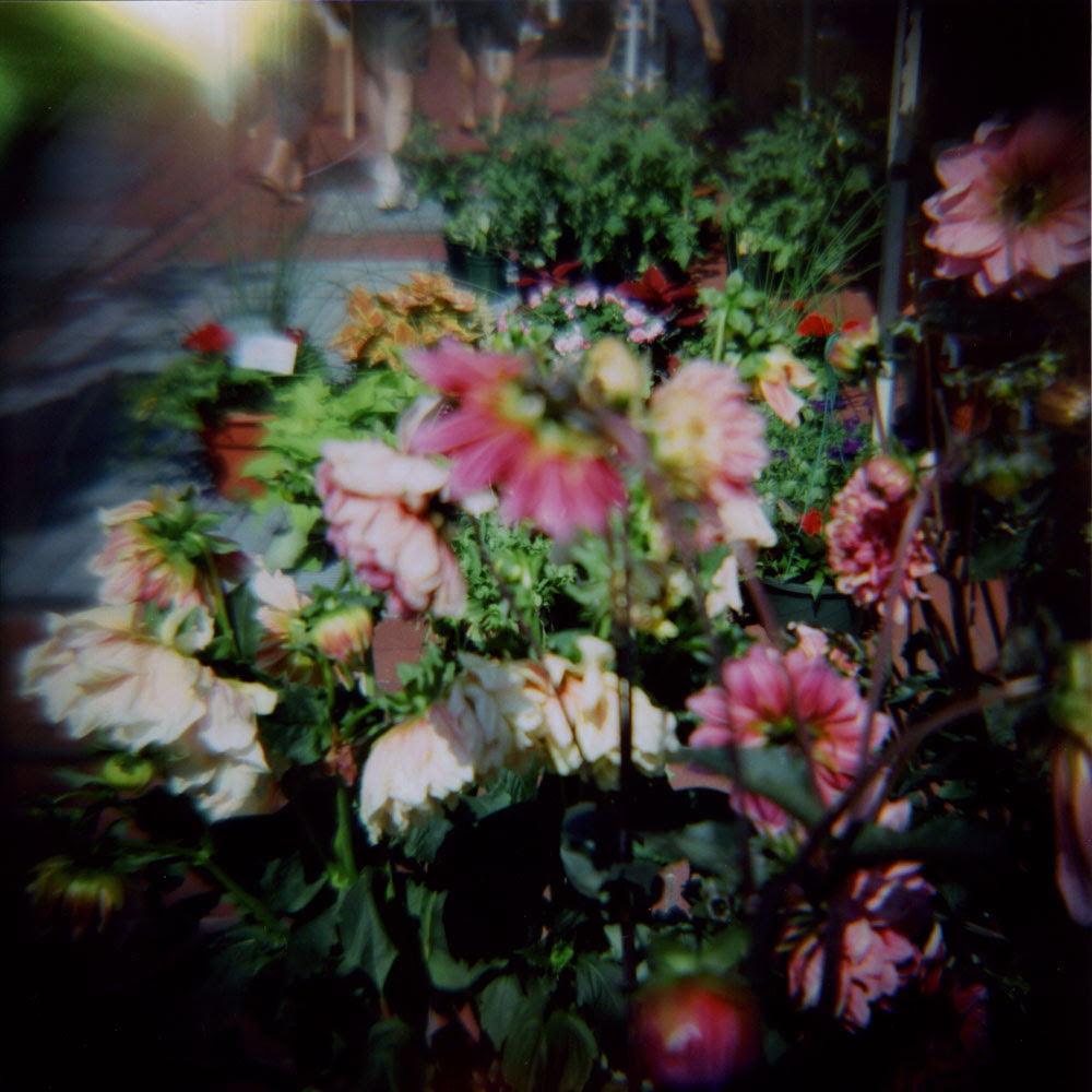 market flowers