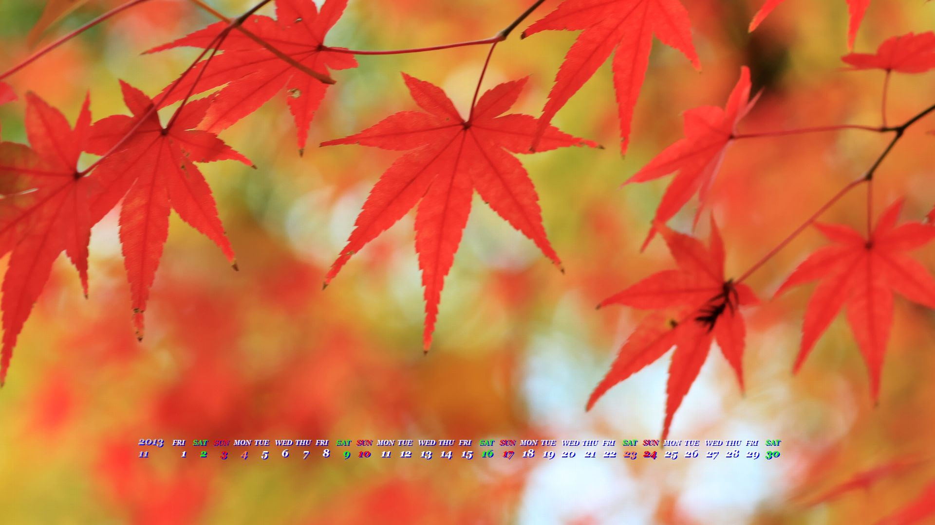 もみじ ２０１３年１１月カレンダー壁紙 フルｈｄ19ｘ1080ワイド カレンダー壁紙館 昴 無料ワイド