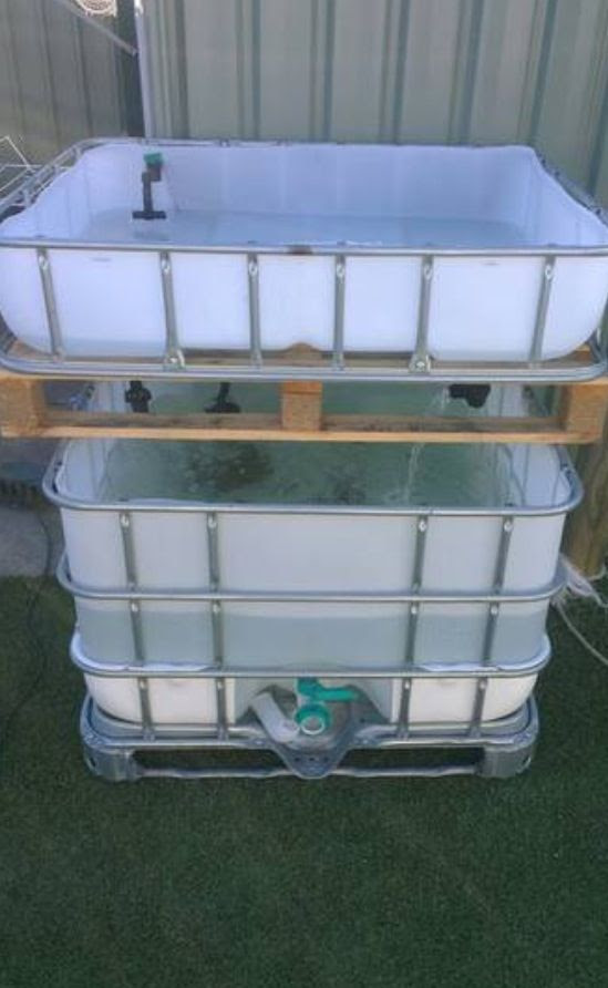 IBC Tote Aquaponics