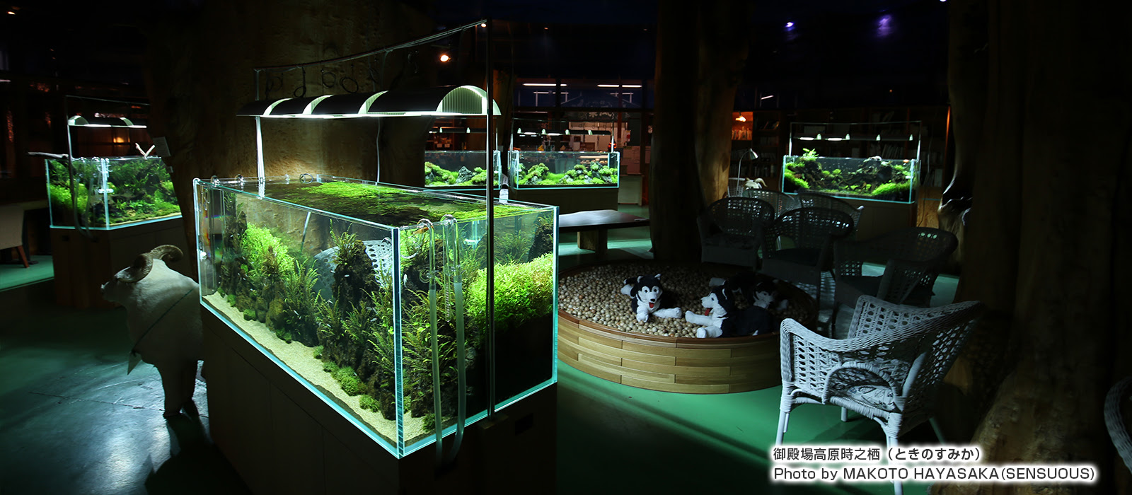 オリジナル水槽デザイン 製造 株式会社プレココーポレーション