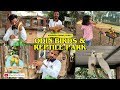 Dumas’ Hidden Gem: A Wildlife Adventure at Odin Birds & Reptile Park Surat 