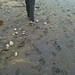 fort funston