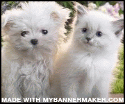 create your own banner at mybannermaker.com!