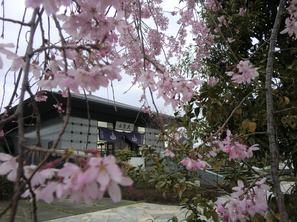 散る桜 残る桜も 散る桜 埼玉県で真心こめた供養 葬儀をおさがしなら 一燈仏子寺
