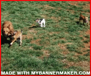 Create your own banner at mybannermaker.com!