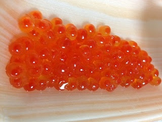 ニジマス釣り 釣り方 仕掛け イクラでも釣る確率を上げる方法 裏技