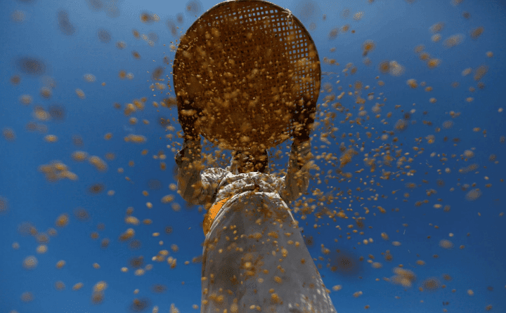 صور من العالم