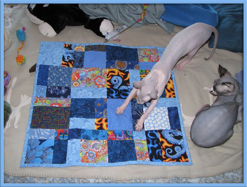 Merlin's Gizzy Quilt Merlin's Gizzy Quilt