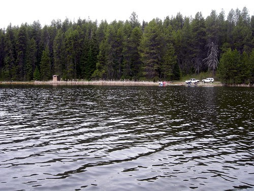moose creekA7