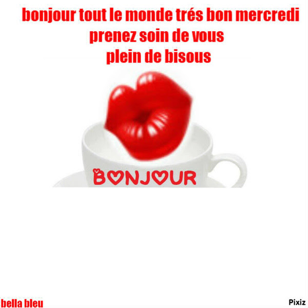 Montage Photo Johnny Hallyday Sylvie Vartan Pixiz