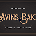 [dgostinddp] Download Avins Bake - Decorative Serif  Fonts Family From StringLabs