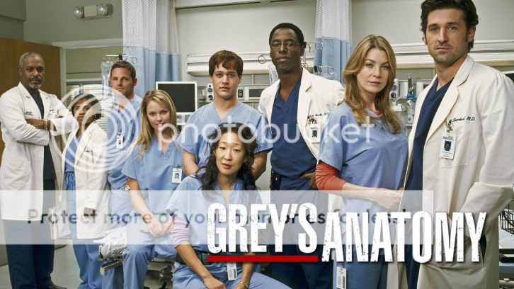 Grey's Anatomy - 10th Anniversary Series Review: "Live For the Moment"