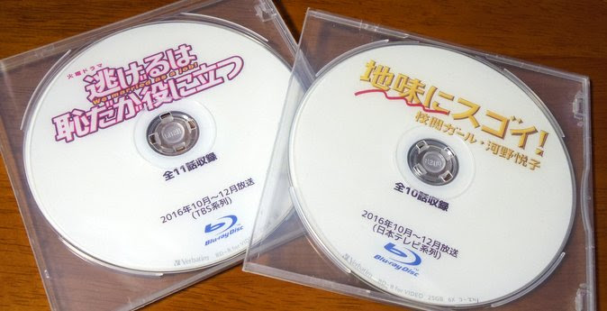 Dvdに焼いた録画番組の整理は百均のdvdケースが薄くて大容量でオススメ オキラクウサギ