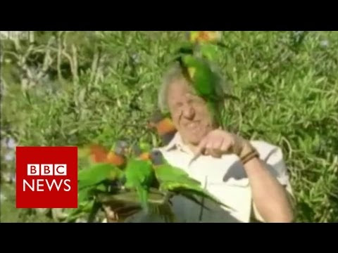 Acara TV Yang Jadi Teman Saya Sehari-Hari