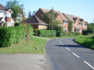 Removal Firms Surrey