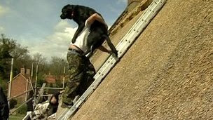 Thatcher Richard carries his dog Axel down a ladder.