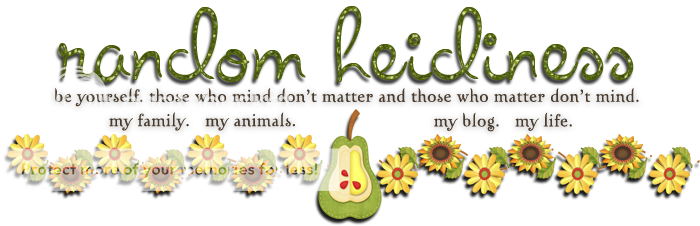 random heidiness