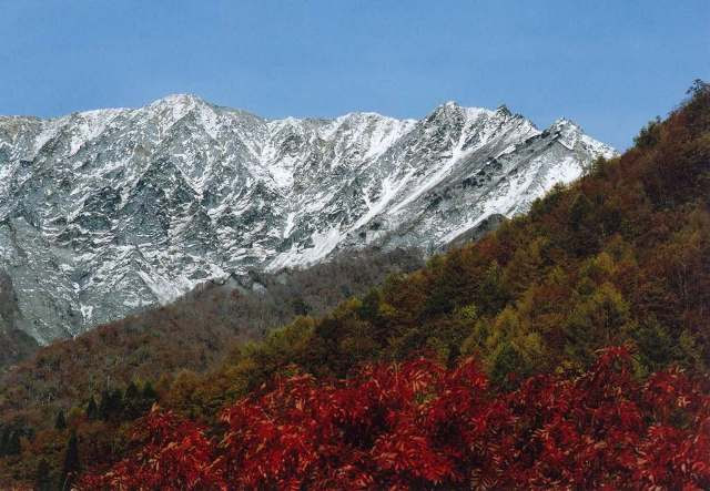 雪の大山 鍵掛峠とブナ林の紅葉 Blog Five Senses