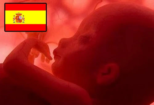 España: Denuncian que gobierno consolidó "tsunami de leyes antifamilia y antivida"