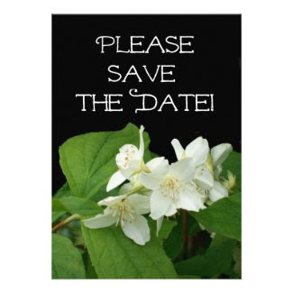 Wedding 'Save the Date' Card