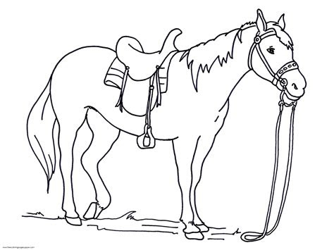 realistic horse coloring pages    print