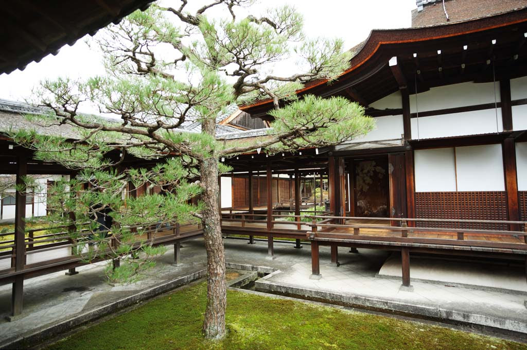 Yun Free Stock Photos No 76 Ninna Ji Temple Shin Den Japan Kyoto