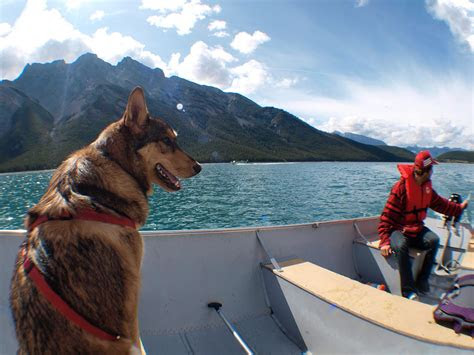 lake minnewanka boat rentals motor boats kayak rentals