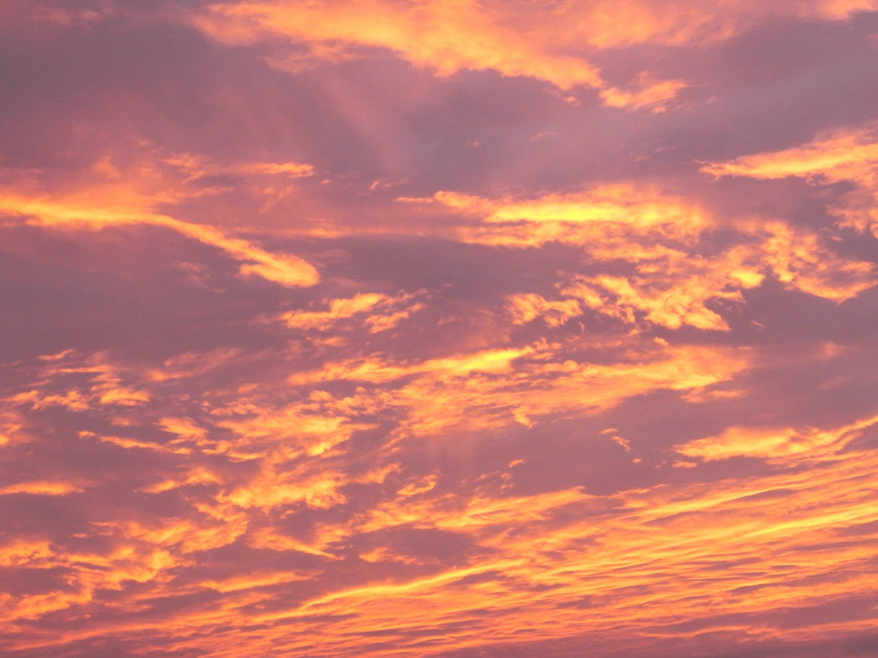 Flugel フリューゲル 旅行と写真の無料壁紙配布