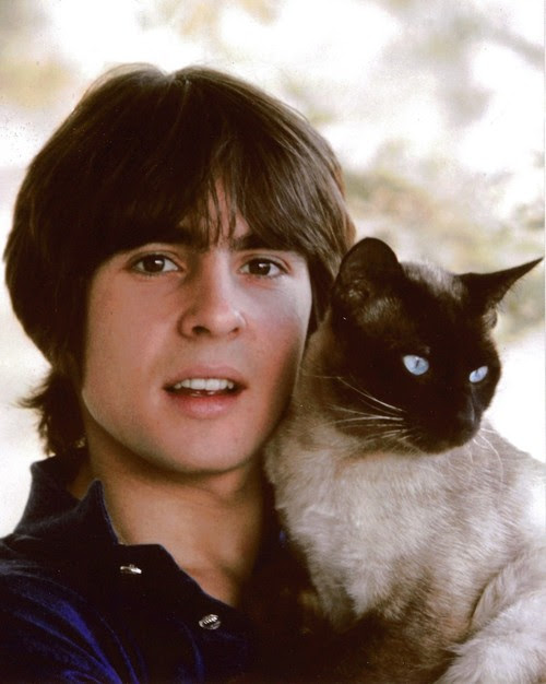 <b>RIP Davy Jones. We Miss You! An Angel Up In Heaven Now.</b>