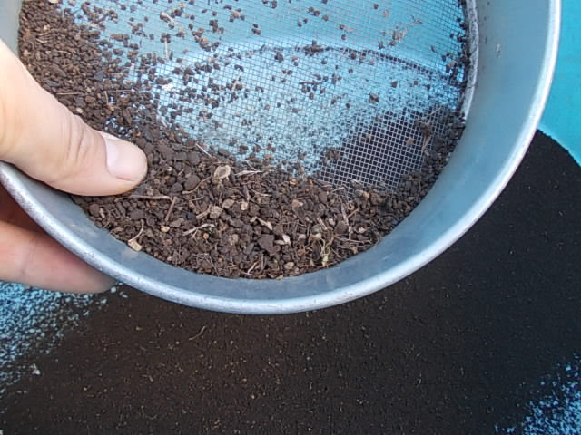 砂利土をフルイに通したら 美味しそうな土が