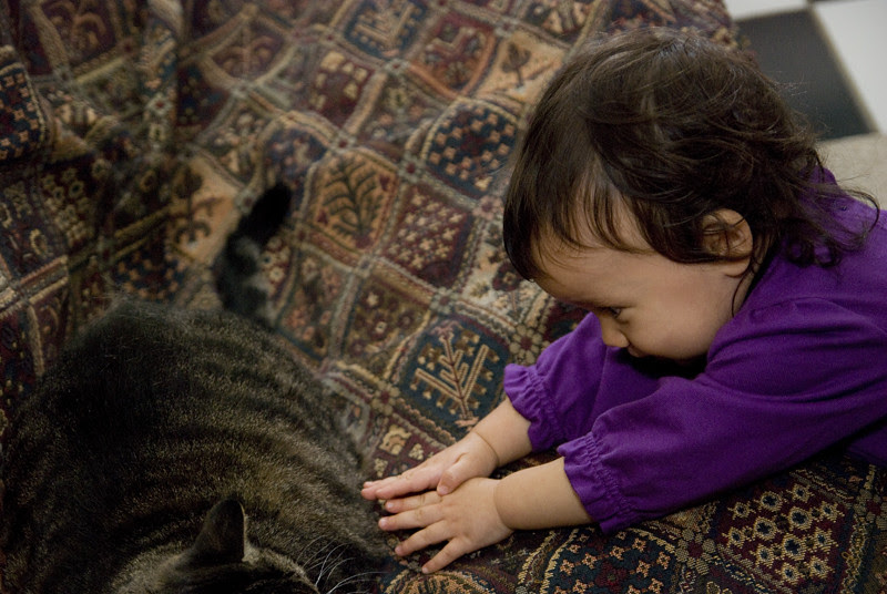 http://farm5.static.flickr.com/4115/4758866261_1cf0b31146_b.jpg
