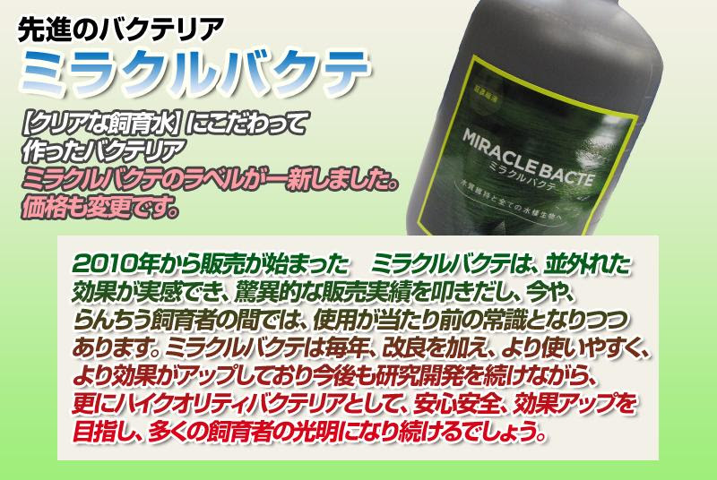 オリジナル ミラクルバクテ らんちゅう 金魚のことなら金魚一道
