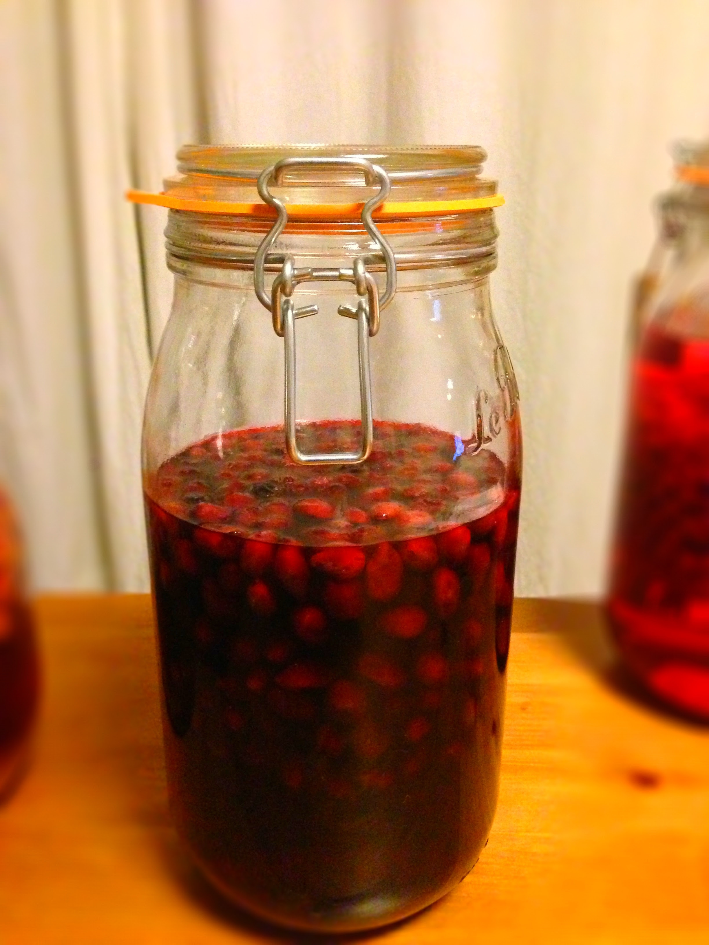 ハスカップ酒 果実酒の作り方
