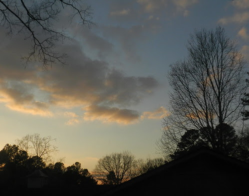 naturenotDSCN4537