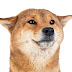 Dogecoin / Lkbddn37wbjukm : 4.8 out of 5 stars 116.