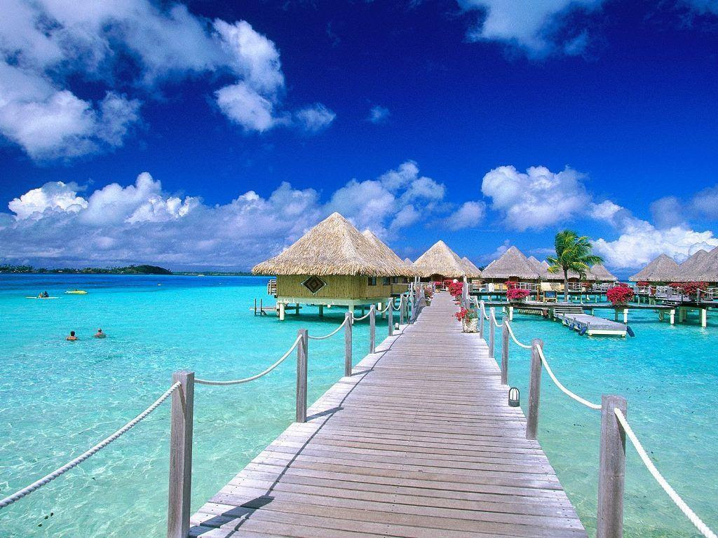 Free Tropical Desktop Backgrounds - Wallpaper Cave