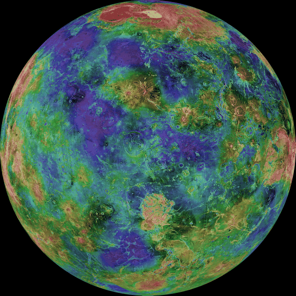 pictures of venus front