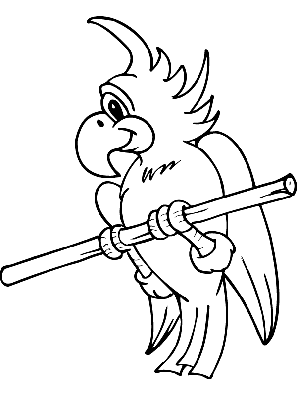 Vogelproblemen Kleurplaten Van Vogels