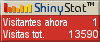Medidor de visitantes