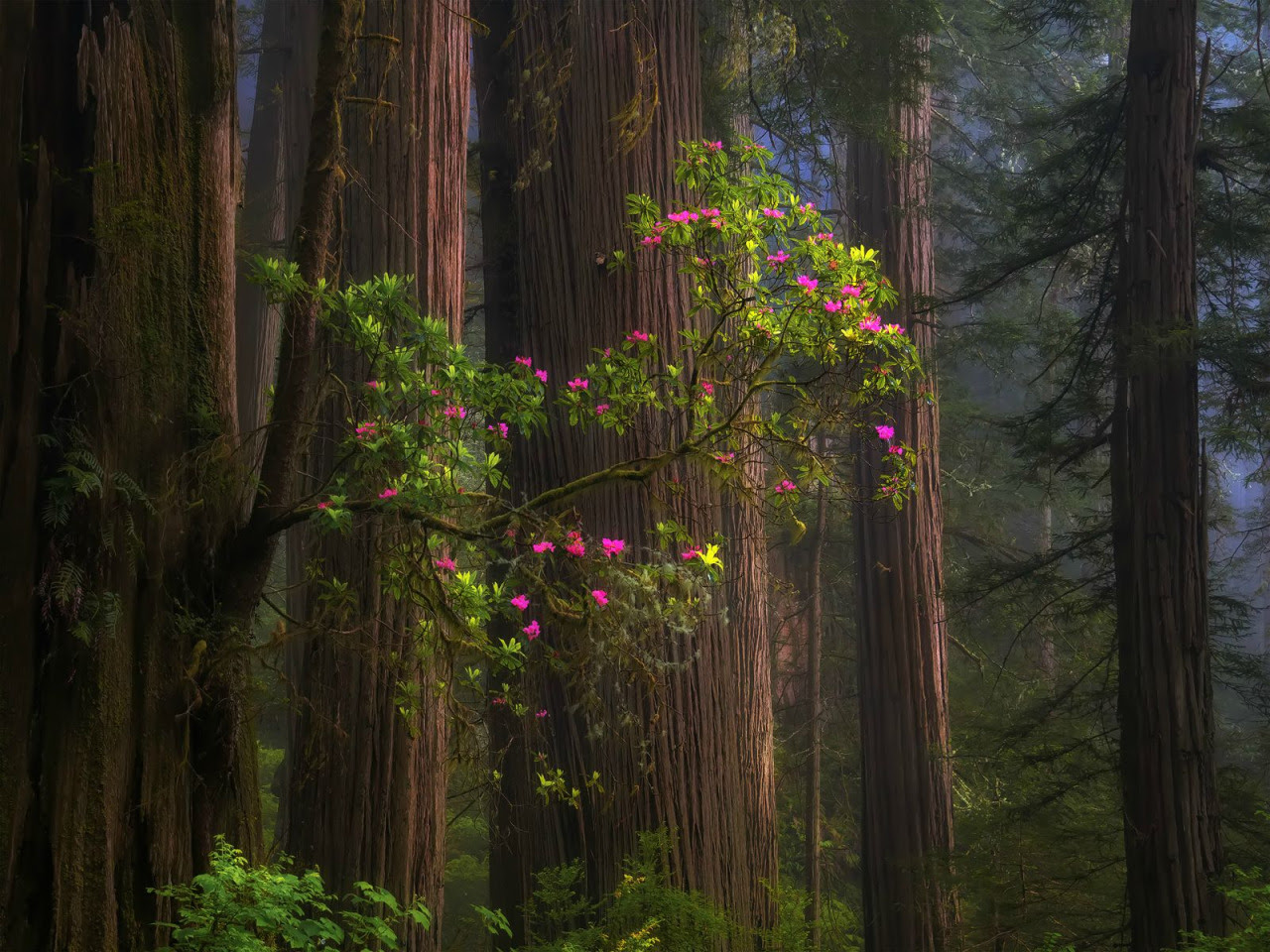 Earth Blog