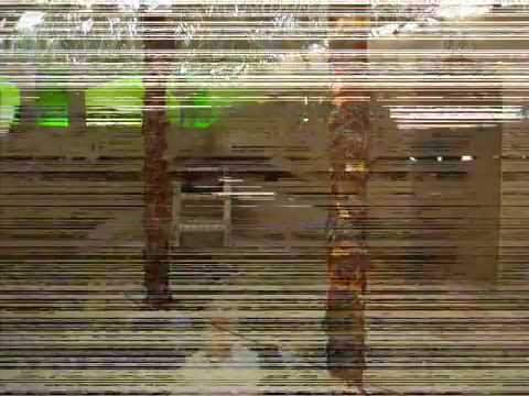 Will or not it's iPhone seven OR iPhone 6S OR iPhone 6S Plus ?