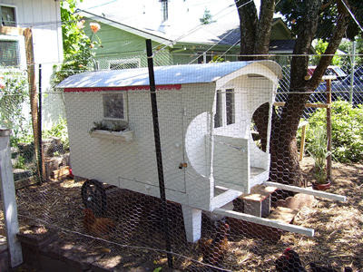 coops portable chicken coops coop fixtures and fittings coop plans