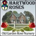 Hartwood Roses