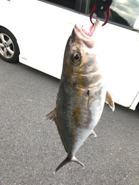 Gekito Blog 撃投 Gekito Site